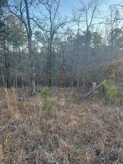 00 River Ridge Trail Property Photo 2