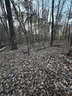 00 River Ridge Trail Property Photo 3