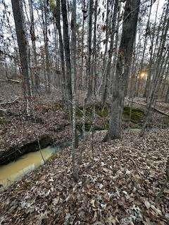 00 River Ridge Trail Property Photo 4