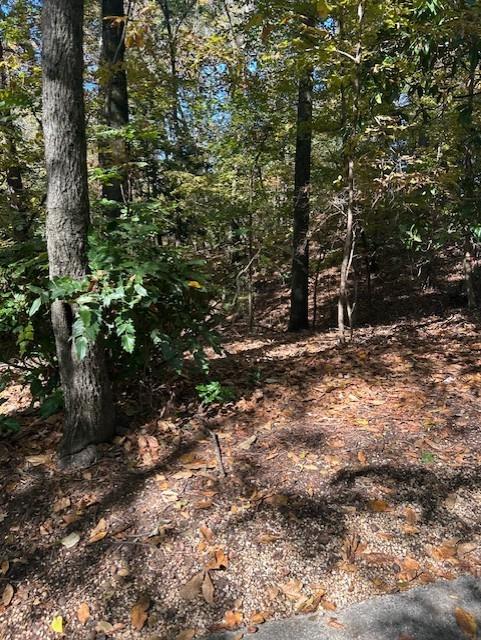 18 W Wesley Ridge Property Photo 2