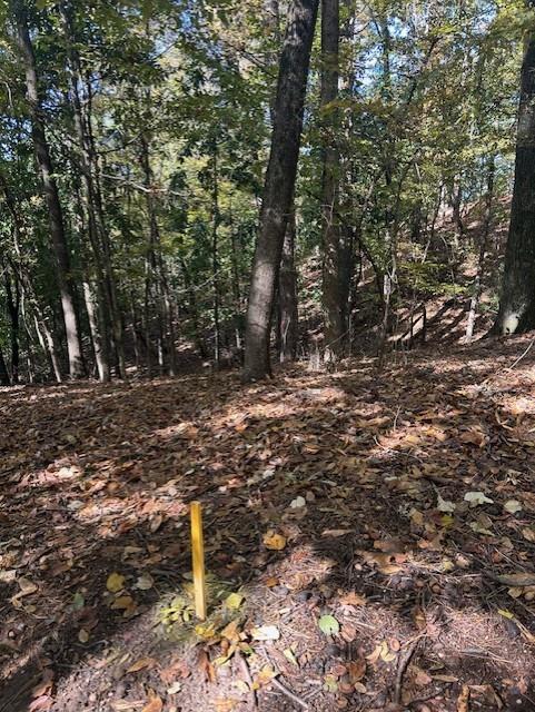 18 W Wesley Ridge Property Photo 8