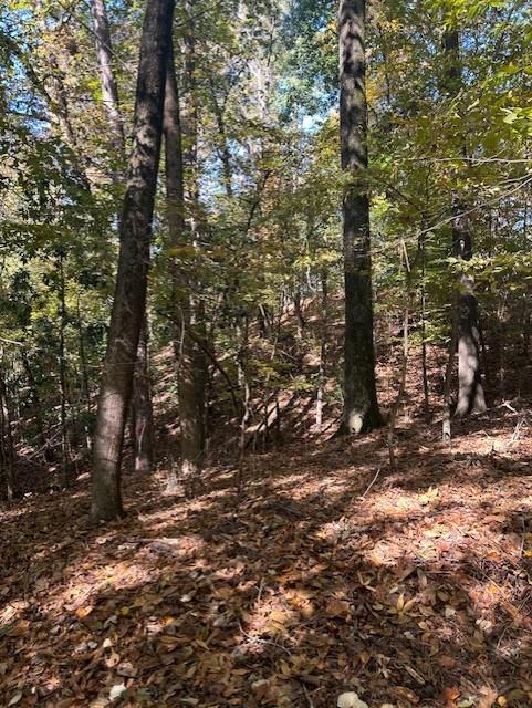 18 W Wesley Ridge Property Photo 10
