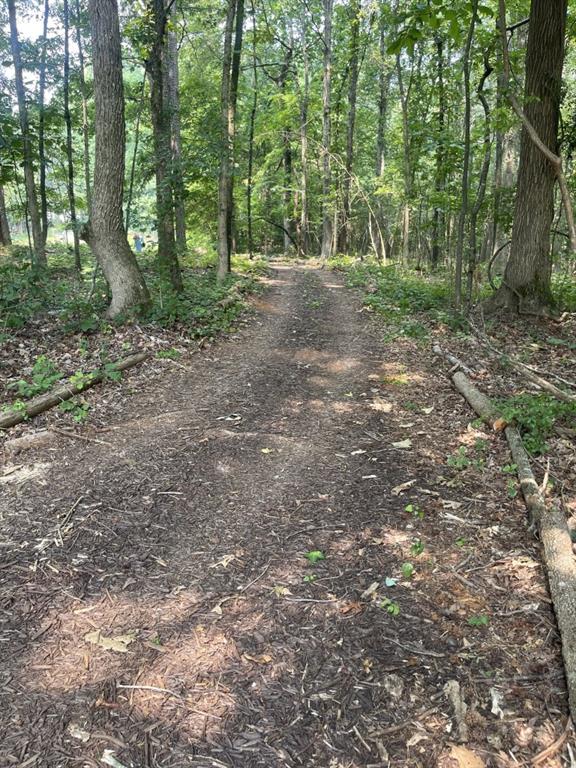 5447 Winder Highway Property Photo 9