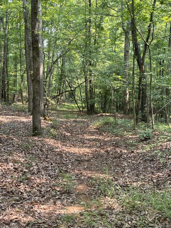 5447 Winder Highway Property Photo 10