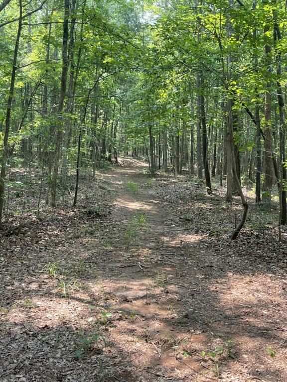 5447 Winder Highway Property Photo 11
