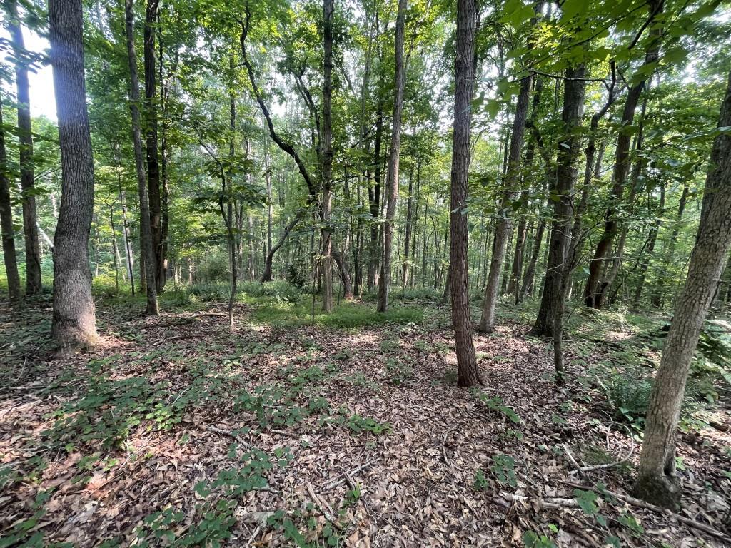 5447 Winder Highway Property Photo 12