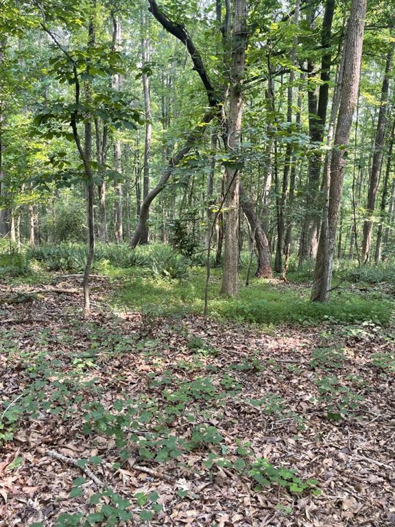 5447 Winder Highway Property Photo 13