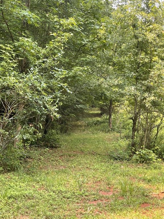 5447 Winder Highway Property Photo 15
