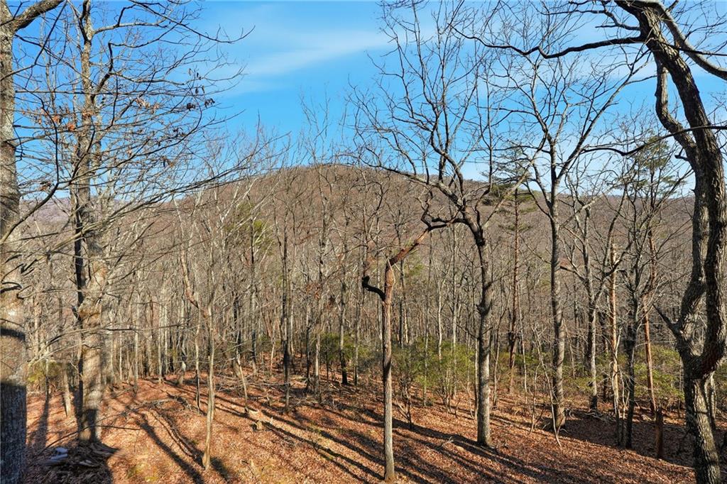 408 Alpine Drive Property Photo 24