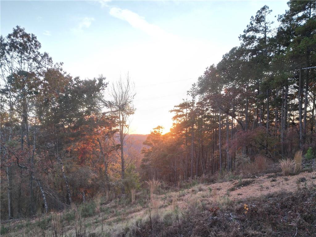 0 Canoe Way Property Photo 4