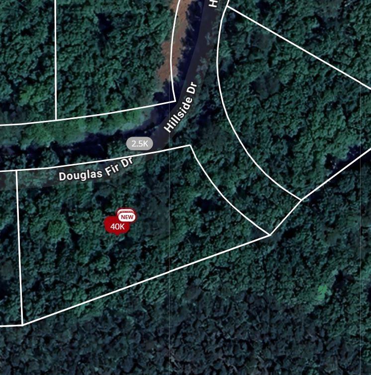 101 Douglas Fir Drive Property Photo 1
