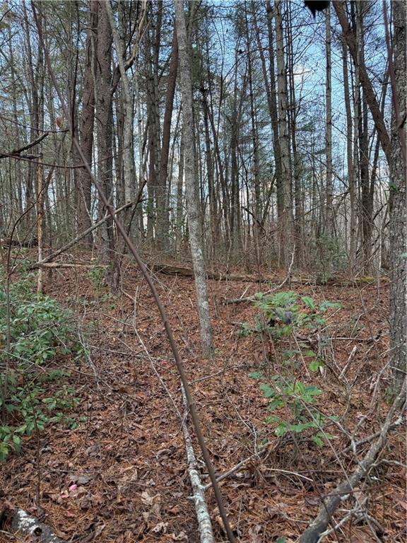 0 Meadowbrook Drive