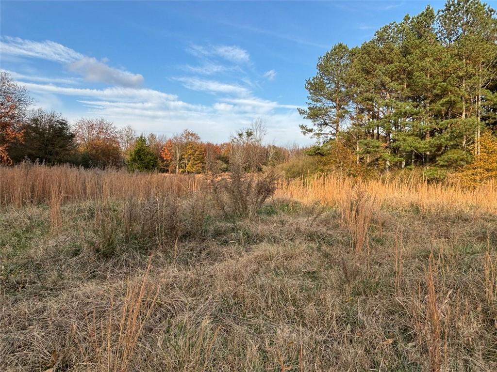 222 Norman Road Property Photo 16