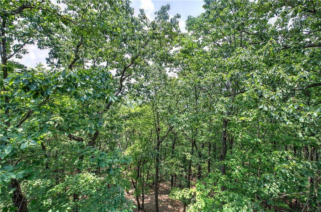 572 Cutthroat Ridge Property Photo 29