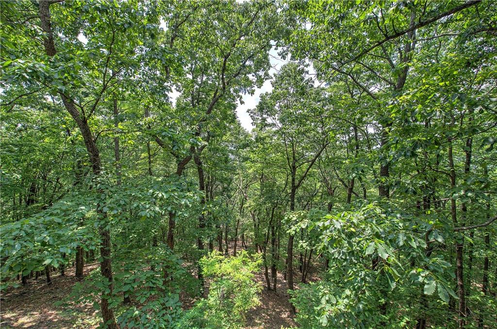 572 Cutthroat Ridge Property Photo 52