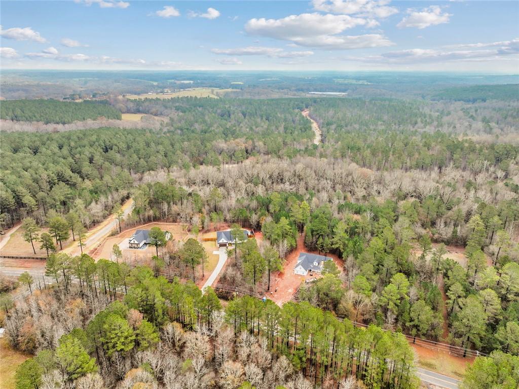 393 Harmony Gates Drive Property Photo 4