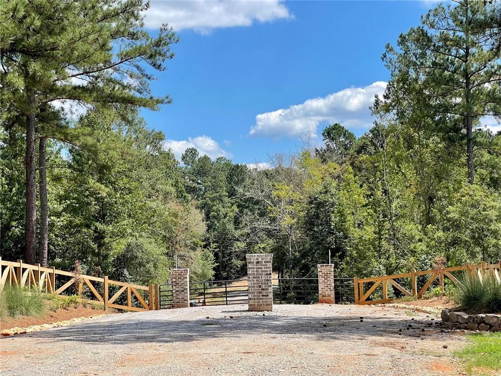 393 Harmony Gates Drive Property Photo 6
