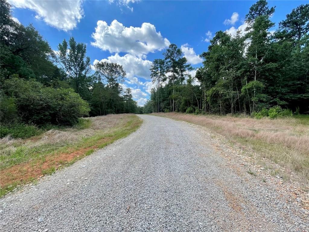 393 Harmony Gates Drive Property Photo 8