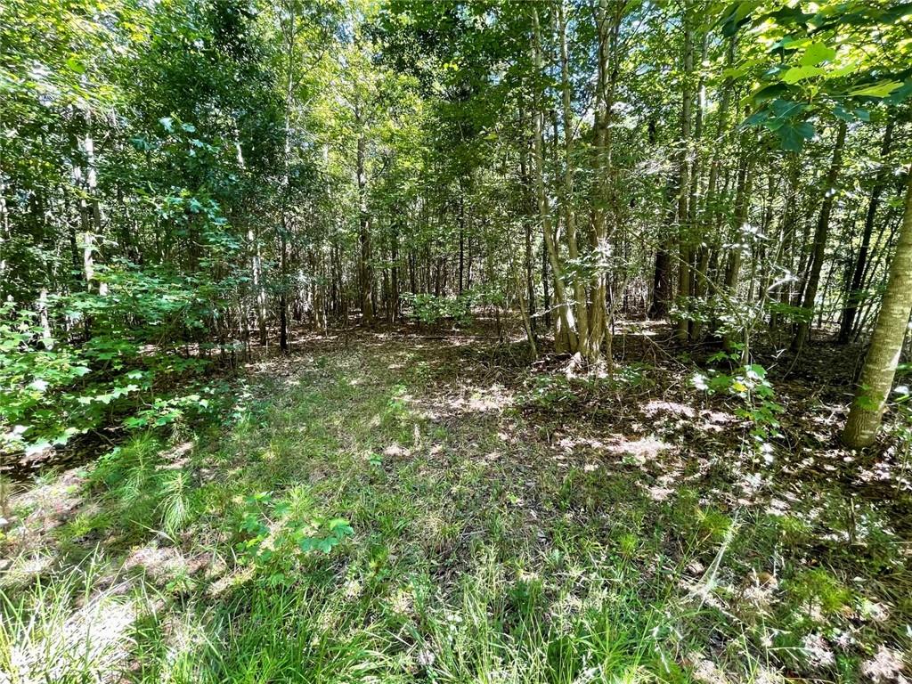 393 Harmony Gates Drive Property Photo 11