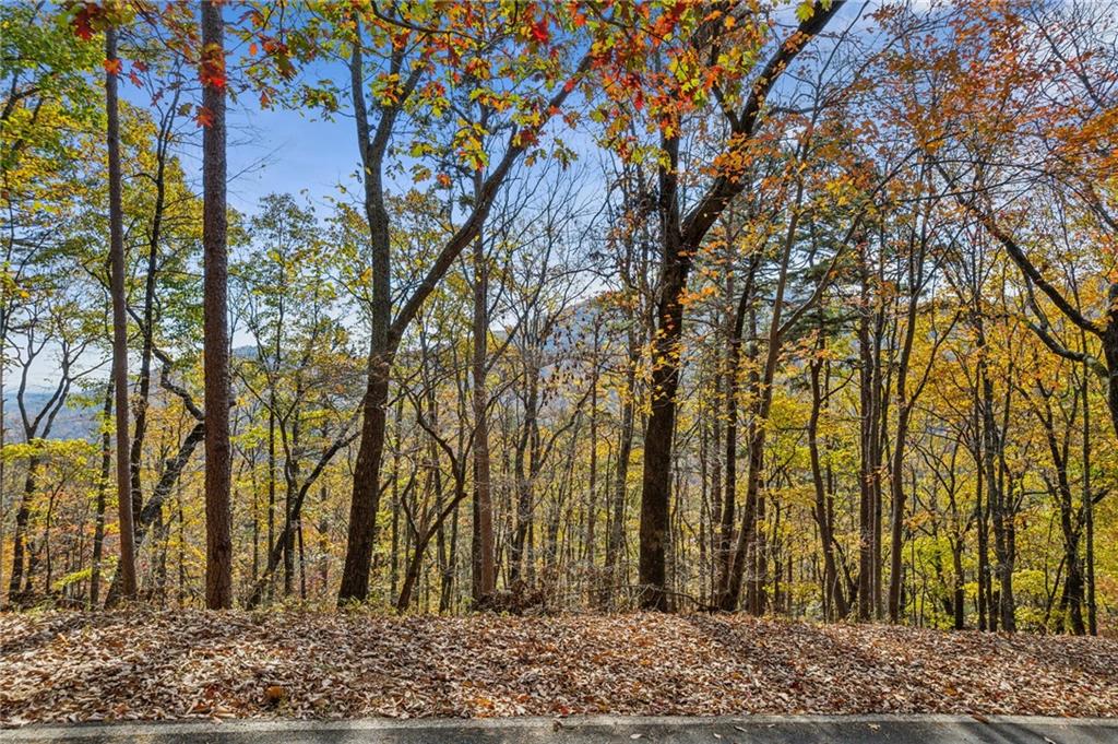 6057 Crested Iris Circle Property Photo 7