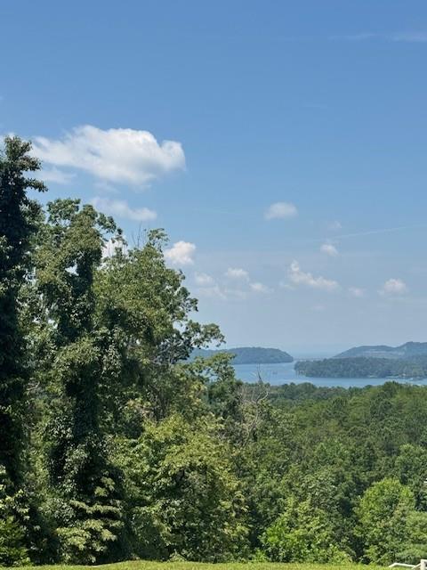 0 Carters View Property Photo 4