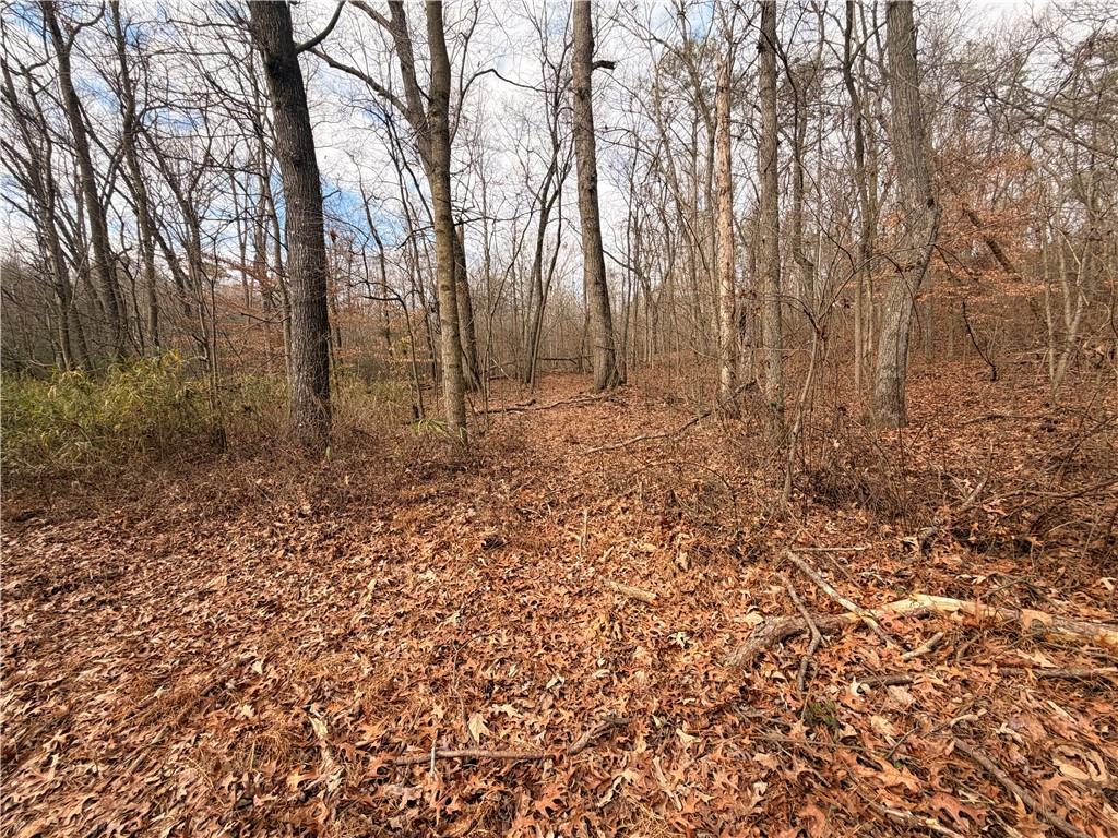 1830 Highway 27 N Property Photo 3
