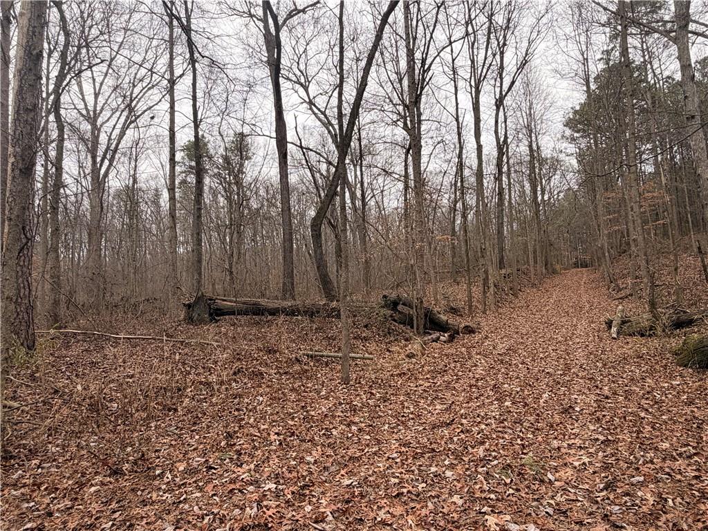 1830 Highway 27 N Property Photo 5