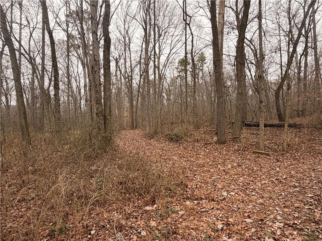 1830 Highway 27 N Property Photo 6