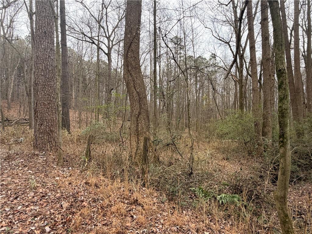 1830 Highway 27 N Property Photo 7