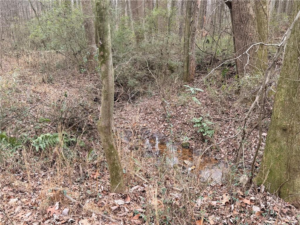 1830 Highway 27 N Property Photo 8