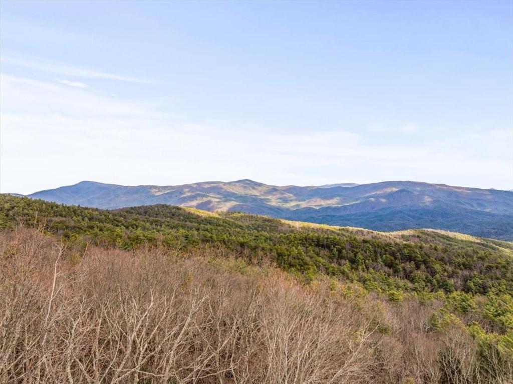576 Apache Trail Property Photo 84