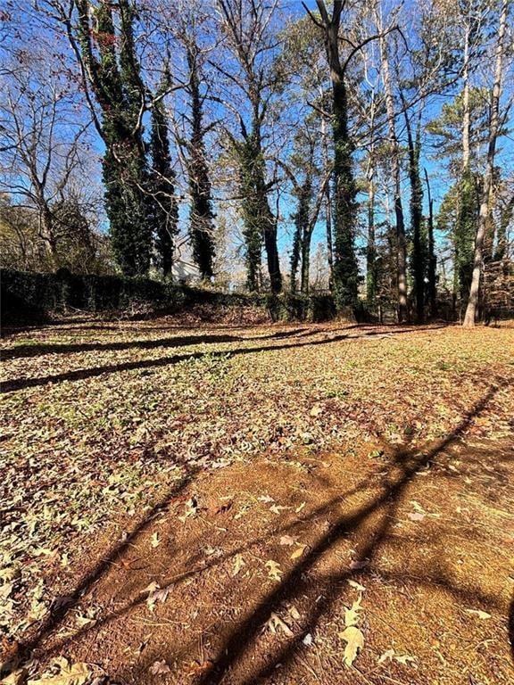 423 Orchards Walk Property Photo 35