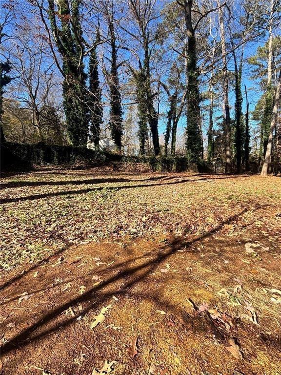 423 Orchards Walk Property Photo 36