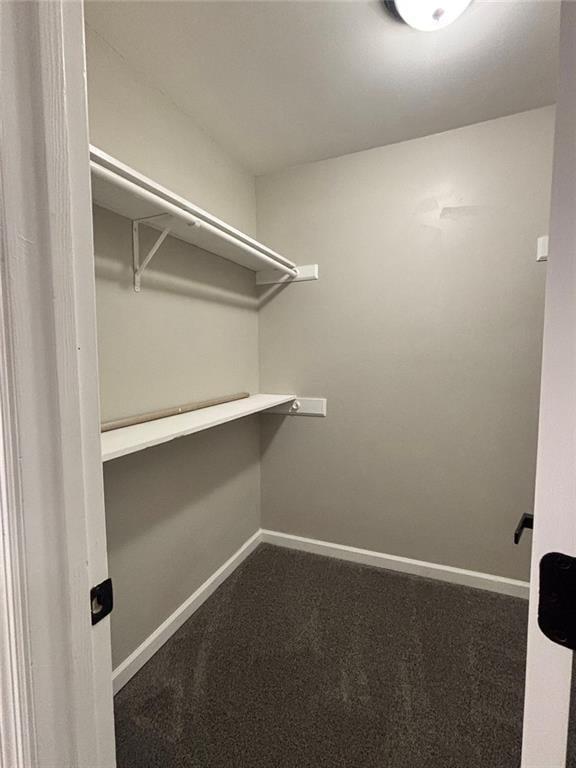 423 Orchards Walk Property Photo 53