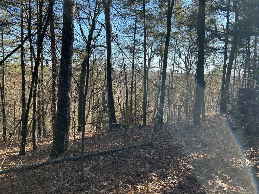 00000 Twin River Orchard Road Property Photo 1