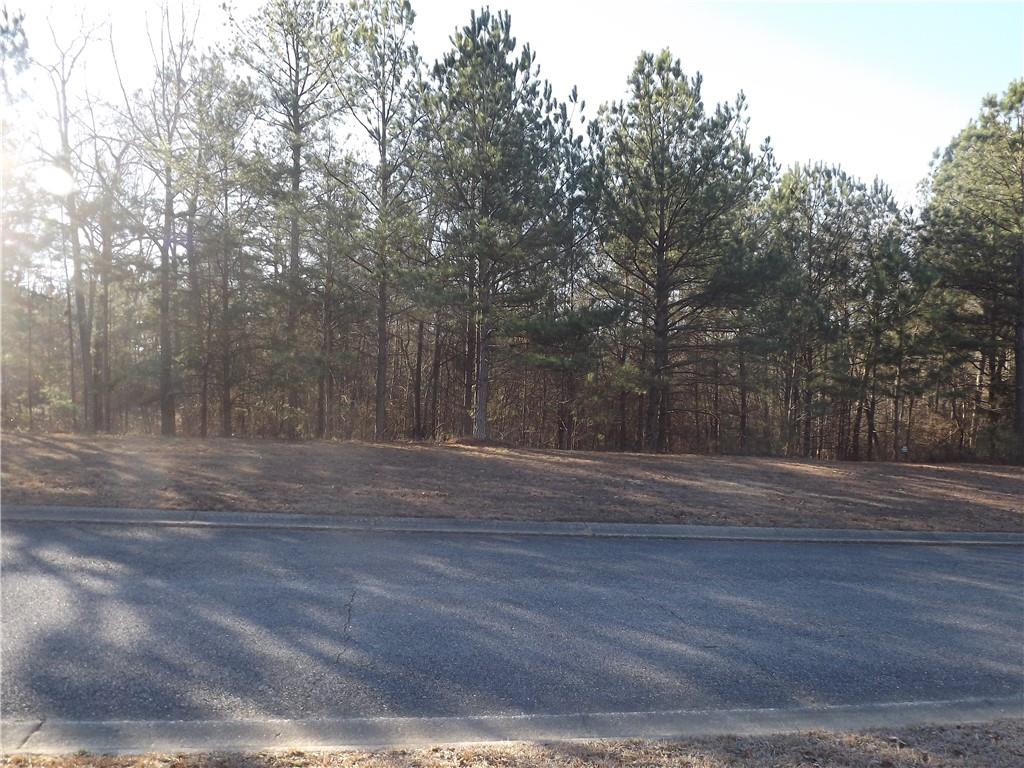 Lot 10 Sunset Loop Property Photo 2