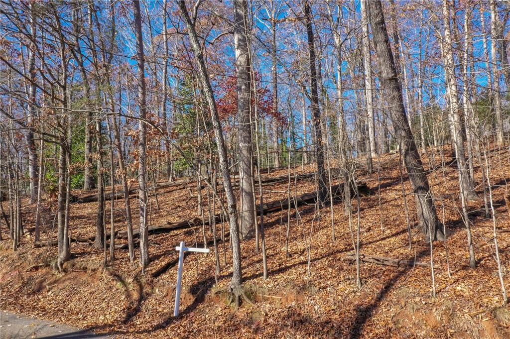 3442 Jet Wright Road Property Photo 13