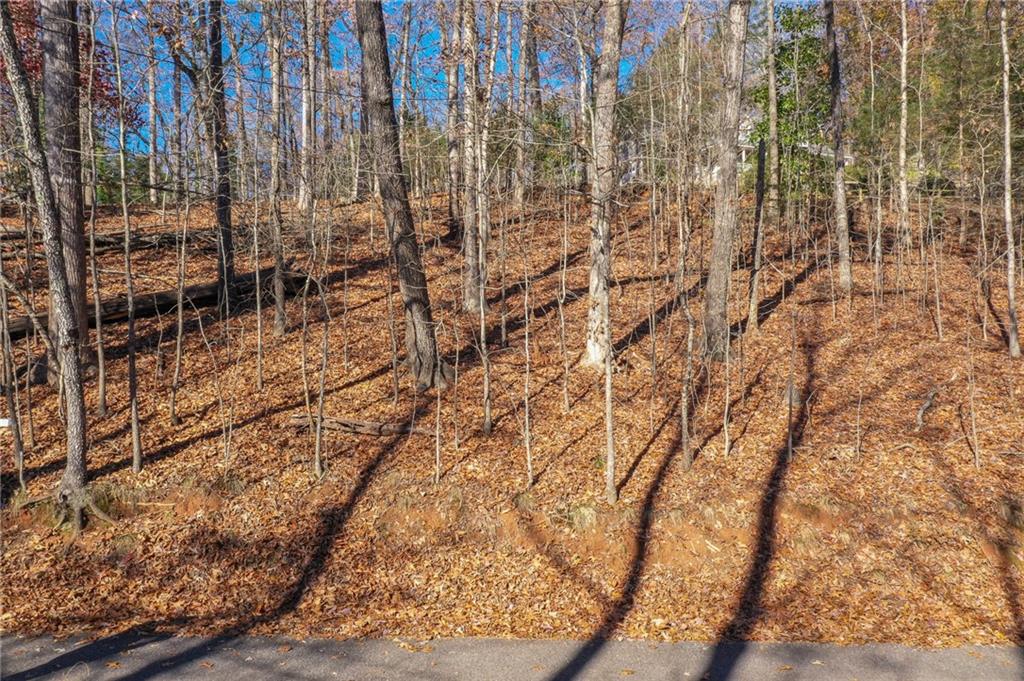 3442 Jet Wright Road Property Photo 14