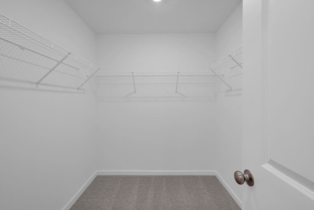 2843 Rosehall Way Property Photo 18