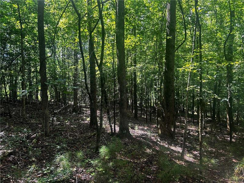 257 Ranchette Road Property Photo 16