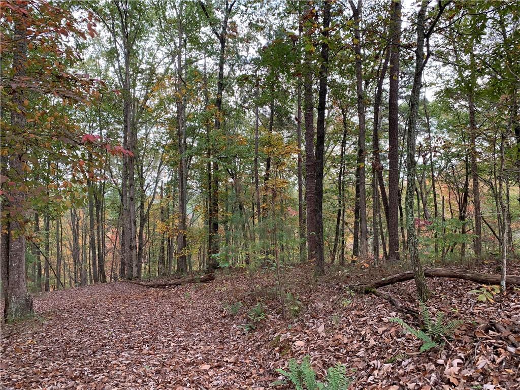 128 Adair Drive Property Photo 1