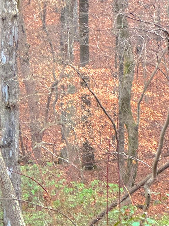 00 Crooked Creek Property Photo 1
