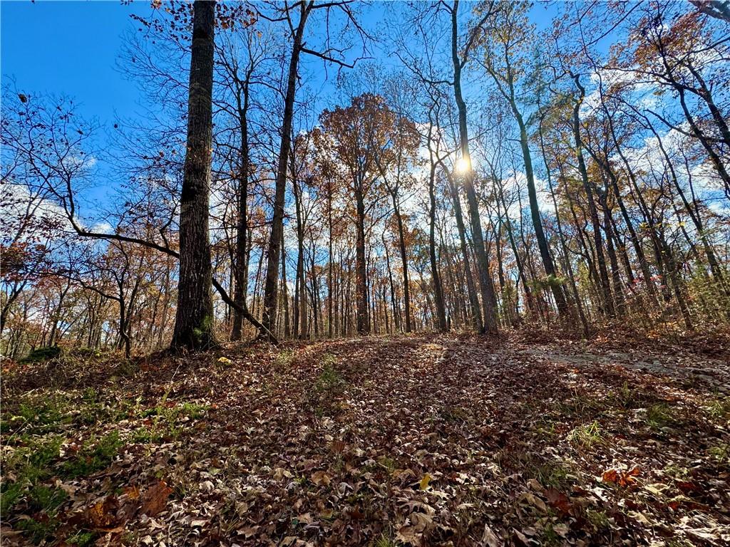 1012 King Mill Road Property Photo 45