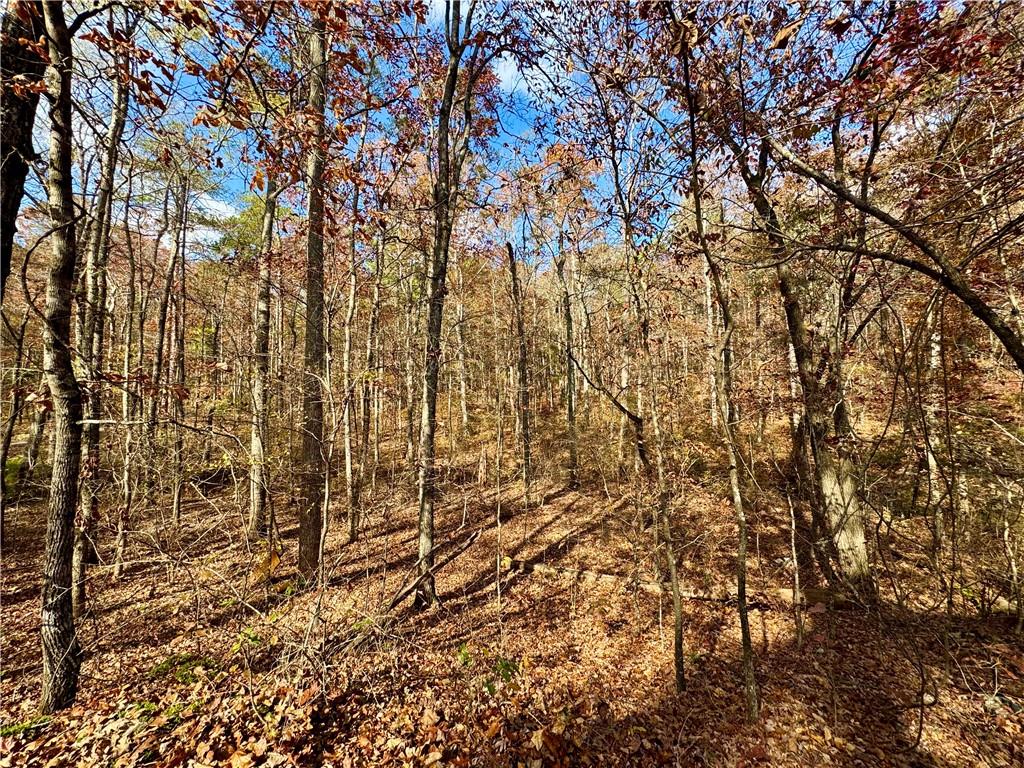 1012 King Mill Road Property Photo 46