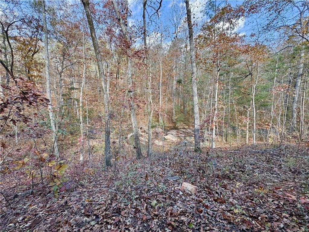 1012 King Mill Road Property Photo 47