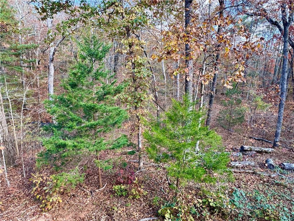 1012 King Mill Road Property Photo 48