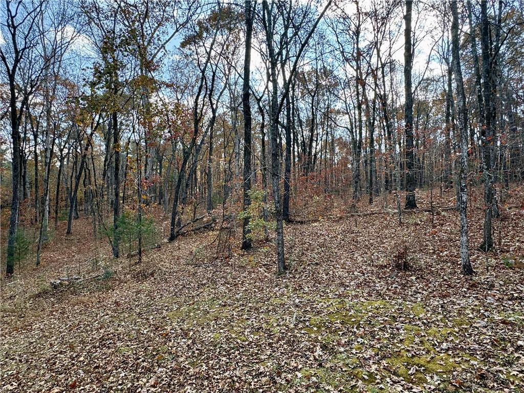 1012 King Mill Road Property Photo 49