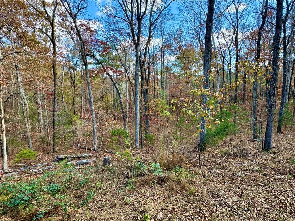 1012 King Mill Road Property Photo 50
