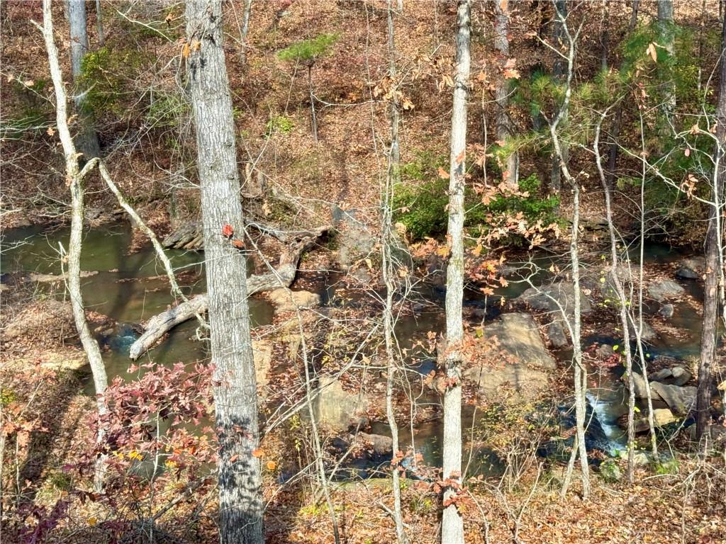 1012 King Mill Road Property Photo 51