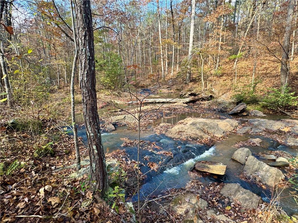 1012 King Mill Road Property Photo 52